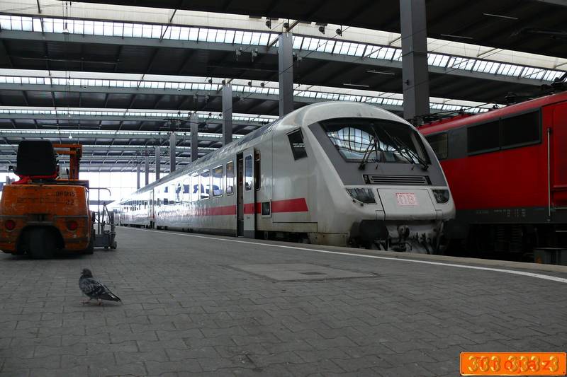 mn6.jpg