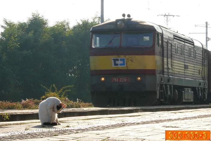 Kocka03.jpg